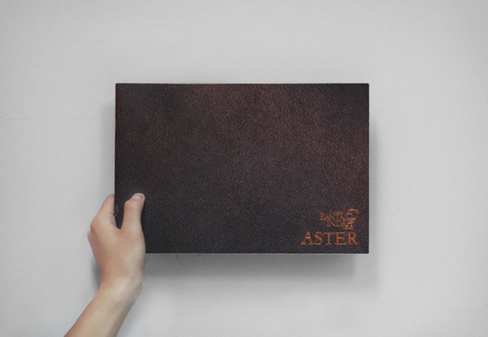 Item Preview